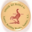 Sumter Bottling Works Ginger Ale