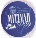 Rodeph Sholom Mitzvah Day