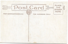 For the Sake of Old Glory WW I Postcard