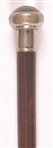 James Blaine Campaign Cane