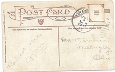 Anti Suffrage Stay Single Postcard