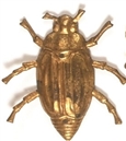 McKinley Gold Bug