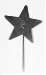 Unlisted US Grant Star Pinback