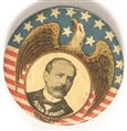 Parker Eagle, Stars and Stripes Celluloid