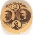 Roosevelt the Old Boys Celluloid