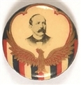 Parker Eagle and Stripes Celluloid
