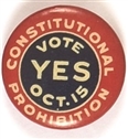 Constitutional Prohibition Vote Yes