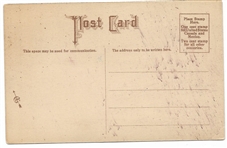 Anti Suffrage My Wife Won't Let Me Postcard