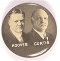 Hoover and Curtis Celluloid Jugate