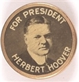 Hoover Framed Celluloid Stud
