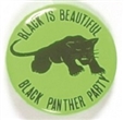 Black Panthers Black is Beautiful