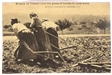 Classic World War I Postcard
