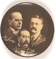 McKinley, TR, Van Sant Minnesota Coattail