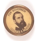 Hughes for Governor Smaller Size Celluloid