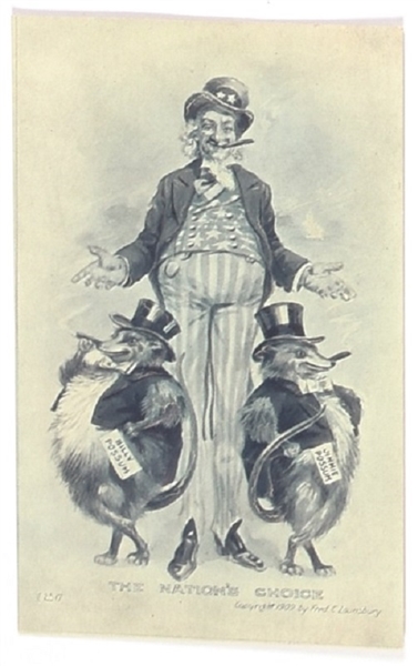 Taft Uncle Sam Possums Postcard