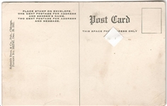 Wilson New Jersey Mosquito Postcard