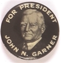 Garner for President Democratic Hopeful