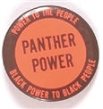 Panther Power Black Power
