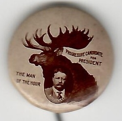 Theodore Roosevelt Man of the Hour Bull Moose Pin