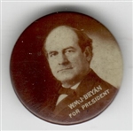 Bryan Tinted Sepia Celluloid