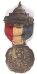 Roosevelt 1912 Progressive Party Delegate Badge