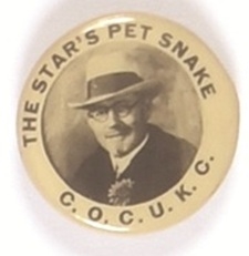 Brinkley the Stars Pet Snake