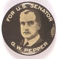 Pepper for Senator, Pennsylvania