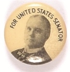 Vare for Senator, Pennsylvania