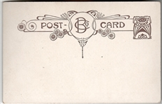 Suffrage Duck and Rooster Postcard