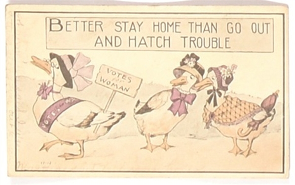 Votes for Women Better Stay Home Postcard