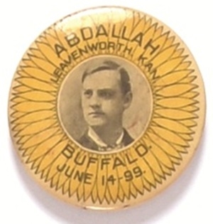 Buffalo 1899 Masonic Sunflower Pin