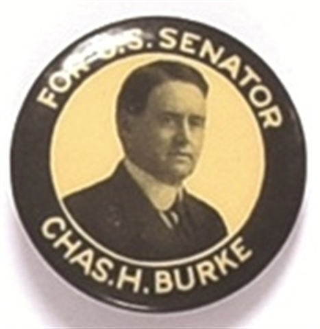 Burke for Senator, South Dakota