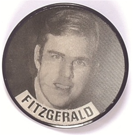 Fitzgerald and Levin Michigan Flasher