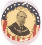 Hughes Stars and Stripes with Gold Filigree Celluloid