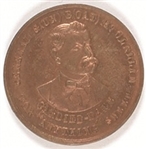 Anti McClellan New Jersey Governor