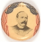 Alton Parker Flag Celluloid