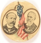 Parker and Davis Flag Celluloid