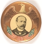 Parker Gold Eagle Pin