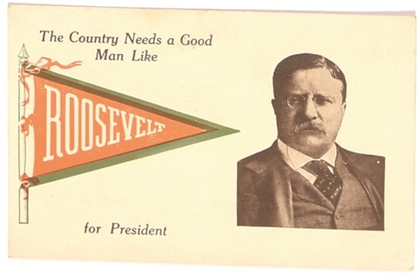 Country Needs a Good Man Roosevelt Postcard