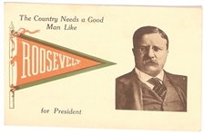 Country Needs a Good Man Roosevelt Postcard