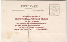 Country Needs a Good Man Roosevelt Postcard