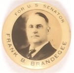 Brandegee for Senator, Connecticut