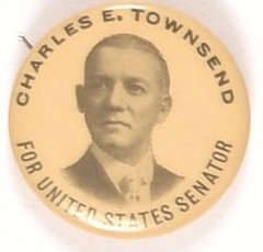 Townsend for Senator, Michigan