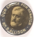 Allison for Senator, Iowa