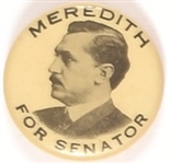 Meredith for Senator, Iowa