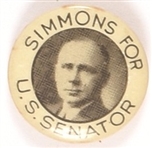 Simmons for Senator, Nebraska