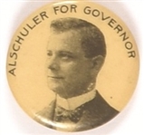 Alschuler for Governor, Illinois