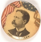 Woolley Prohibition Party