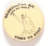 Washington Protest Come to Stay