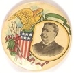 Taft Rare Eagle and Shield Colorful Celluloid